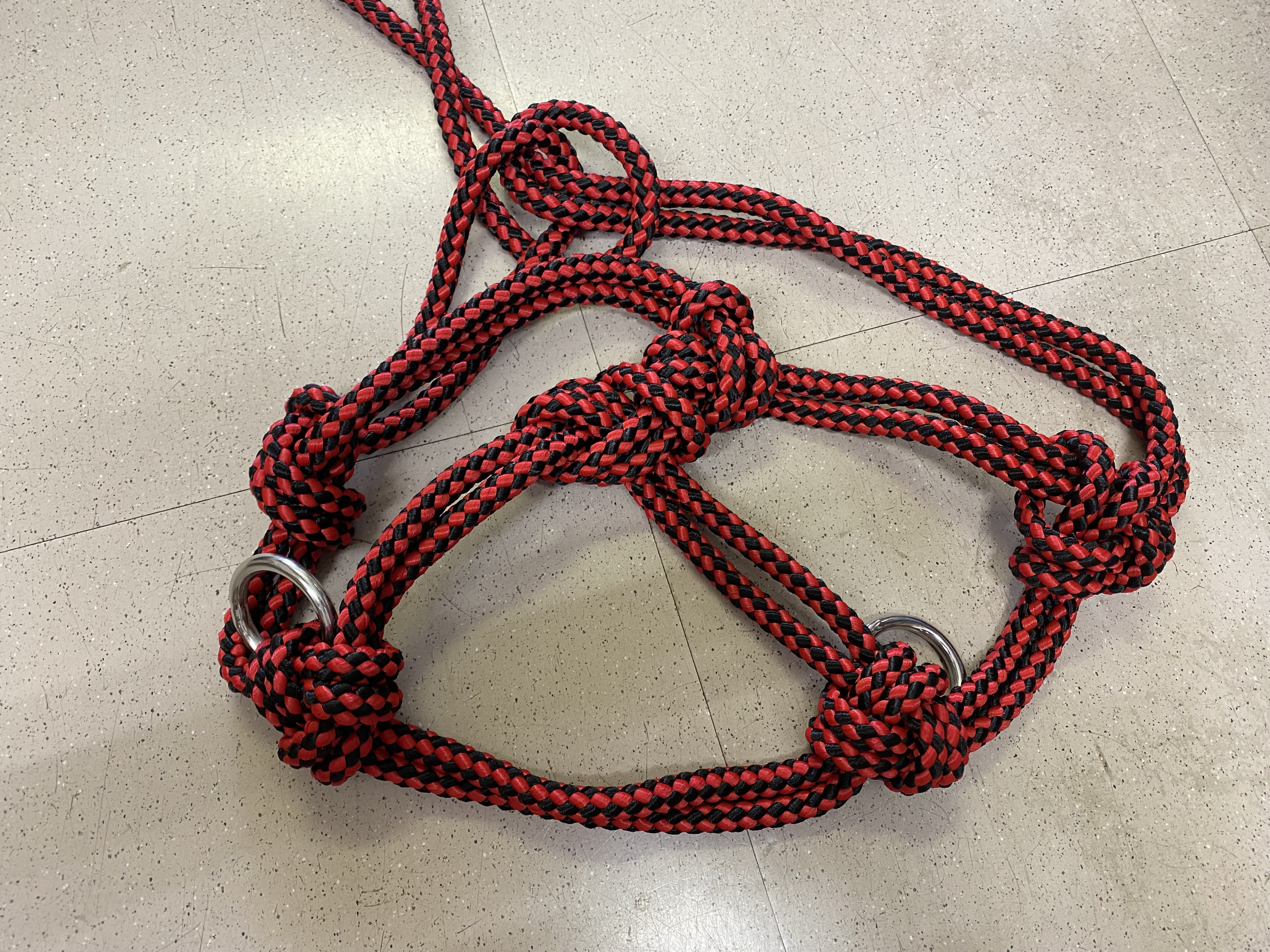 本複式型 リング付