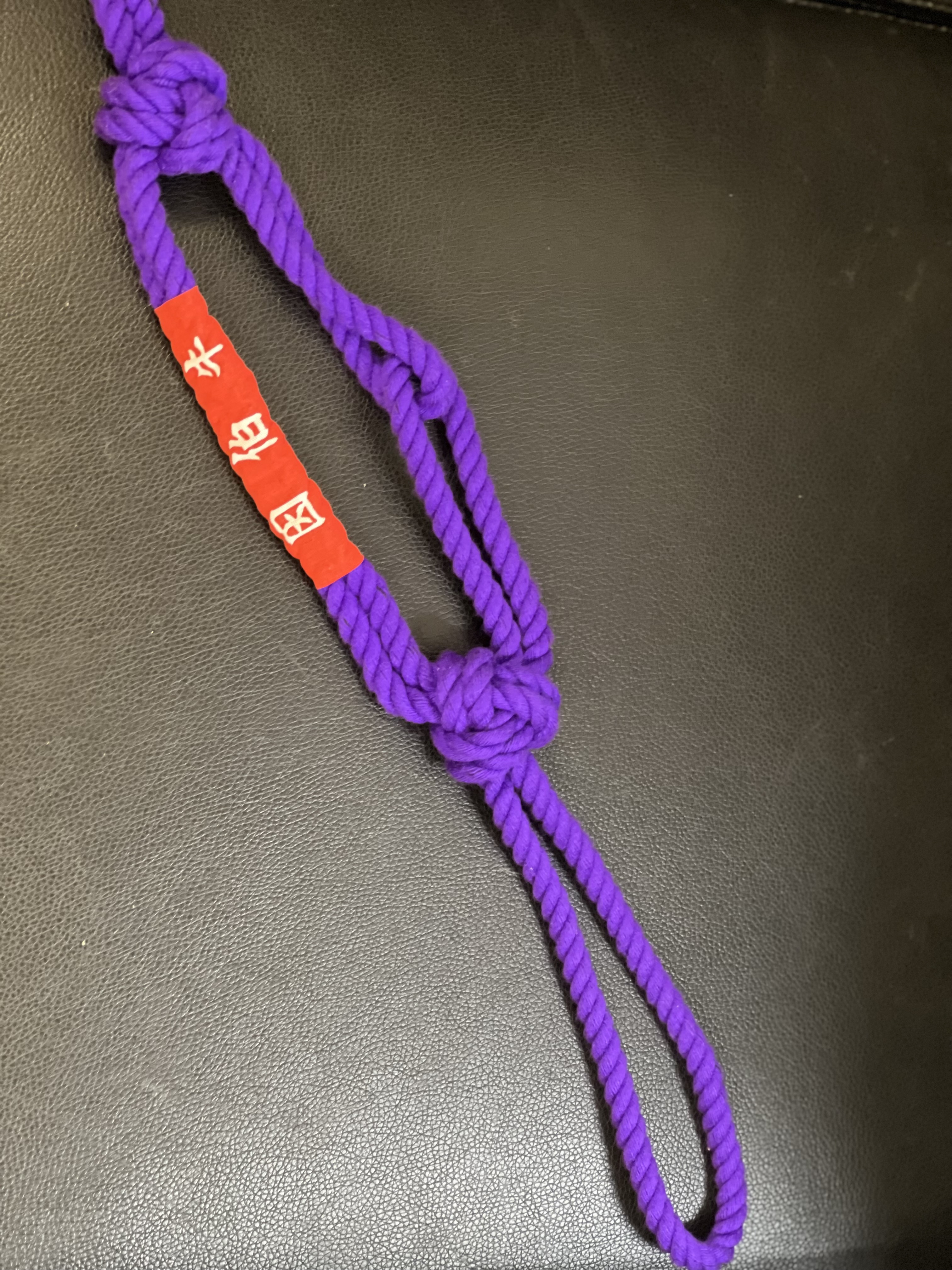 簡易型市場おもがた 頭絡