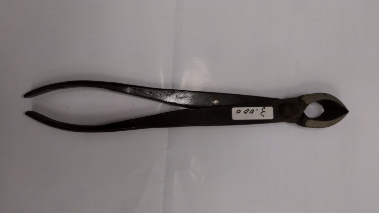 センカン　枝又